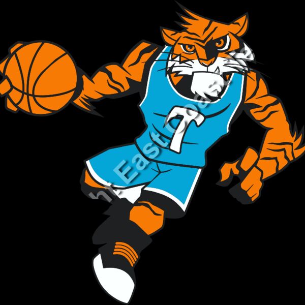 Tiger Basketball 1 Thumbnail