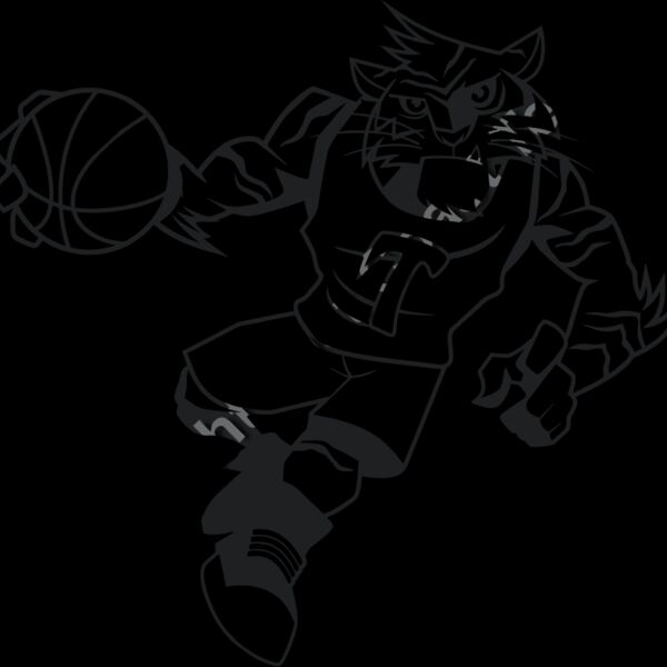 Tiger Basketball 1 1C Thumbnail