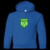 Gildan Heavy Blend™ Youth Hooded Sweatshirt Thumbnail